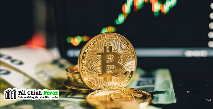 Bitcoin có thể tăng lên đến $60,000 do kỳ vọng về việc phê duyệt Quỹ giao dịch đầu tư (ETF), theo nhận định của nhà phân tích hàng đầu DonAlt